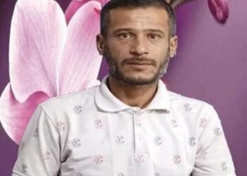 الاستاذ محمود الحمادة